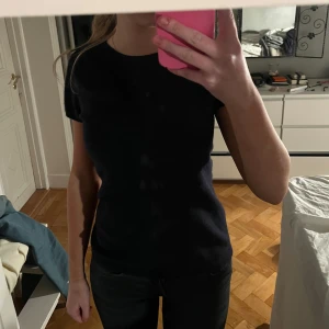 Svart t-shirt - Säljer en klassisk  svart t-shirt i Kashmir med korta ärmar. Perfekt basplagg för alla tillfällen. T-shirten har en normal passform och är tillverkad i kashmir. Skit skygg till allting!!