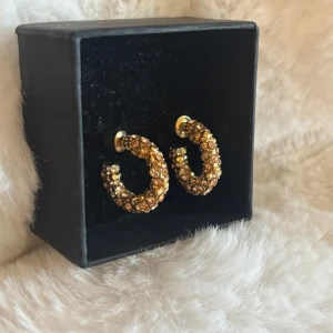 Guldiga glittriga örhängen - Aldrig använda 💞