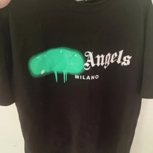 Palm Angels t-shirt  - Säljer en Palm Angels t-shirt givetvis äkta. Endast testad så så gott som ny. Storlek: Medium.