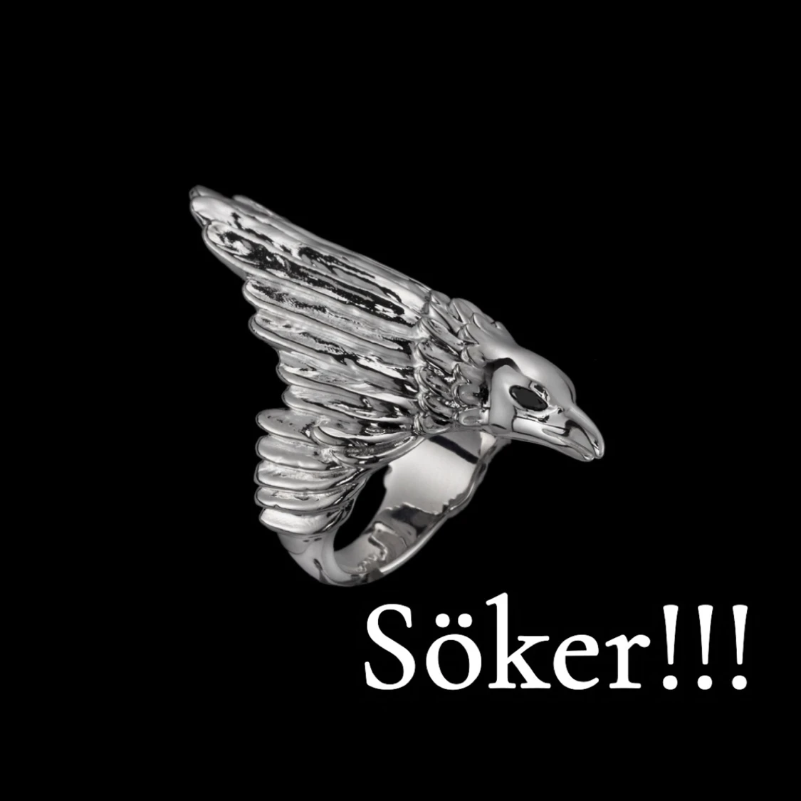 Maria Nilsdotter Raven ring (Söker)