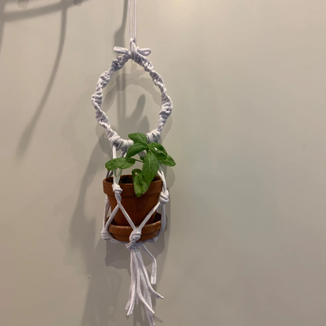Makramé ampel / växthängare säljes. 