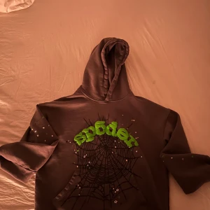 Grå och grön Sp5der hoodie  - Säljer en grå hoodie från märket sp5der som är sällsynt använd, Den är köpt i december på goat. Hoodien har långa ärmar med små stjärndetaljer. Perfekt för en avslappnad stil.