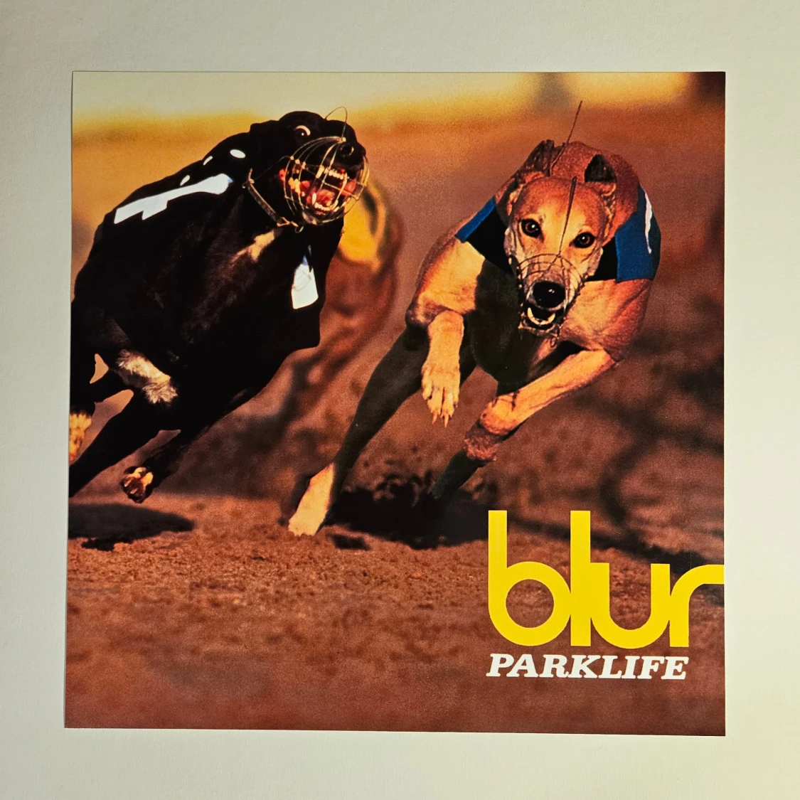 Blur - Albumaffisch, 31.5x31.5cm - 1