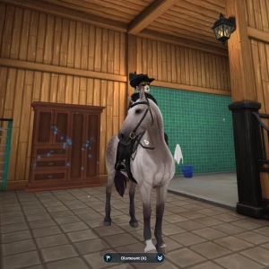 Star Stable - Säljer mitt konto från 2013. Detta är ett ALT konto som jag skapade för att "ha någonting att göra" men insåg att det inte var lika intressant som i början. Kontot kommer med 27000 starcoins, några hästar, och lite kläder och utrustning. En hel drös med sidouppdrag och huvuduppdrag. Jag hoppas det når någon som kan ta hand om kontot! Lifetime Star Rider dessutom och level 18 karaktär.