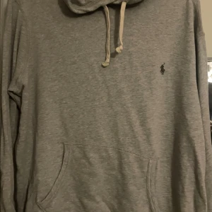 Grå hoodie från Ralph Lauren - Säljer en stilren grå hoodie från Ralph Lauren som är i storlek L säljer den för att den är lite för stor för mig.Köpte den tidigare på Plick men har aldrig kommit till användning 