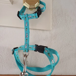 Sele  - Söt turkos Sele ifrån trixie. Storlek M 25-44 cm. För liten för min franska vädur så oanvänd. Nypris 89, medföljer också ett koppel på 1.25 m