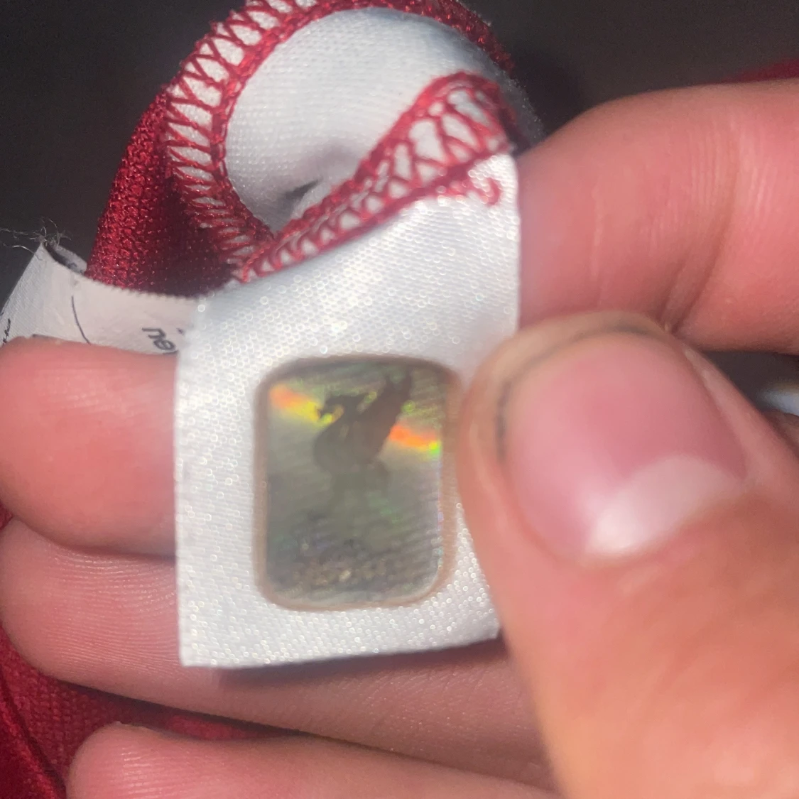 Liverpool långärmad fotbollströja - 2