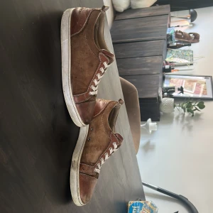 Christian Louboutin skor - Säljer ett par sällsynta bruna Louboutins i storlek 43. Detta är en intressekoll men om nån är sugen så är det bara att höra av sig i dm. Dem är lite smutsiga på bilden men om nån köper gör jag rent dom innan jag skickar iväg dem. Pris kan diskuteras!