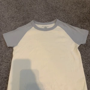 Vit och grå t-shirt från Brandy Melville - Snygg t-shirt från Brandy Melville med vita paneler och ljusgrå ärmar och krage. Klassisk baseballstil med korta ärmar och rund halsringning. Tillverkad i mjuk bomull med lite stretch för extra komfort.