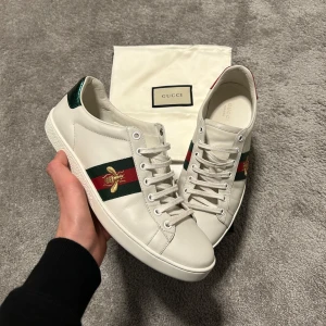 Gucci Ace  - Gucci Ace i storlek 40 men passar 41, mycket fint skick 9/10, box och dustbag medföljer vid köp, bara att höra av er vid funderingar 