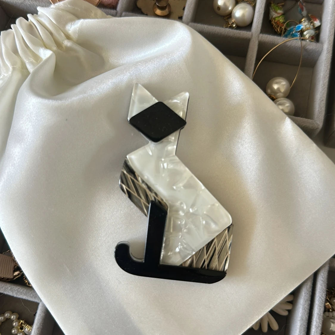 kattbrosch i svart och vitt