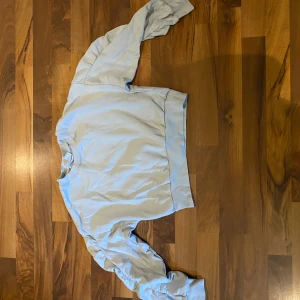 Ljusblå sweatshirt med volangärm - Säljer en ljusblå sweatshirt med coola volangdetaljer längs ärmarna. Tröjan har rund hals och breda muddar vid midja och ärmslut. Perfekt för dig som vill ha en enkel men ändå unik look. Materialet är mjukt och känns skönt mot huden.