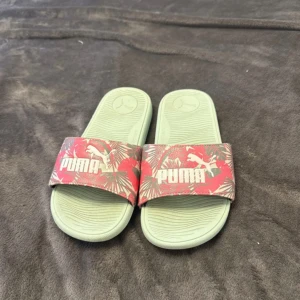 Mintgröna Puma  - Är 39 men jag tror funkar för 38