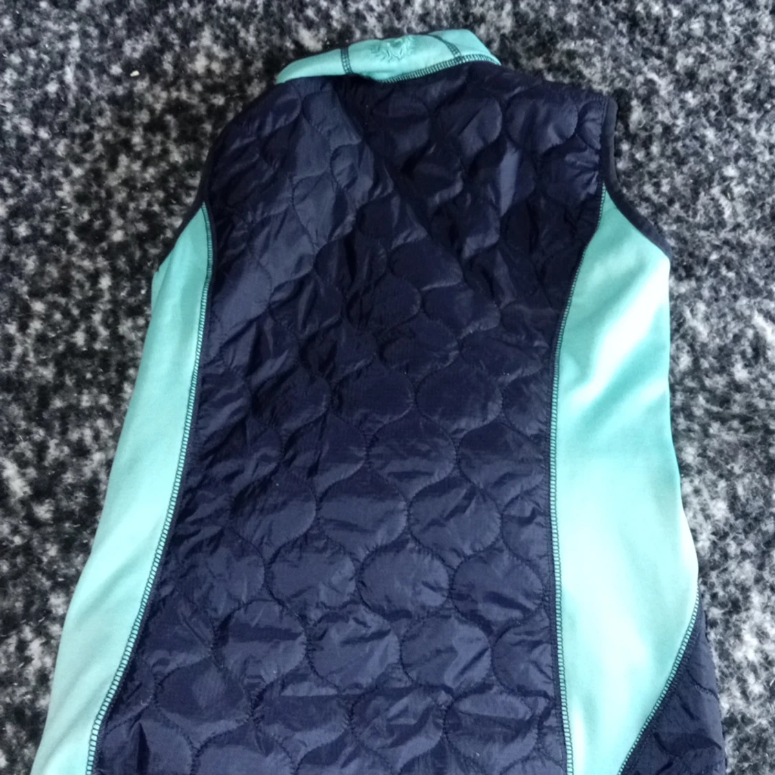 Jättefin ridväst - 1