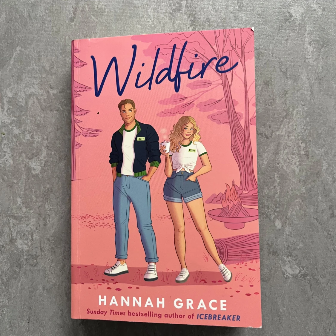 Icebreaker & Wildfire - 3