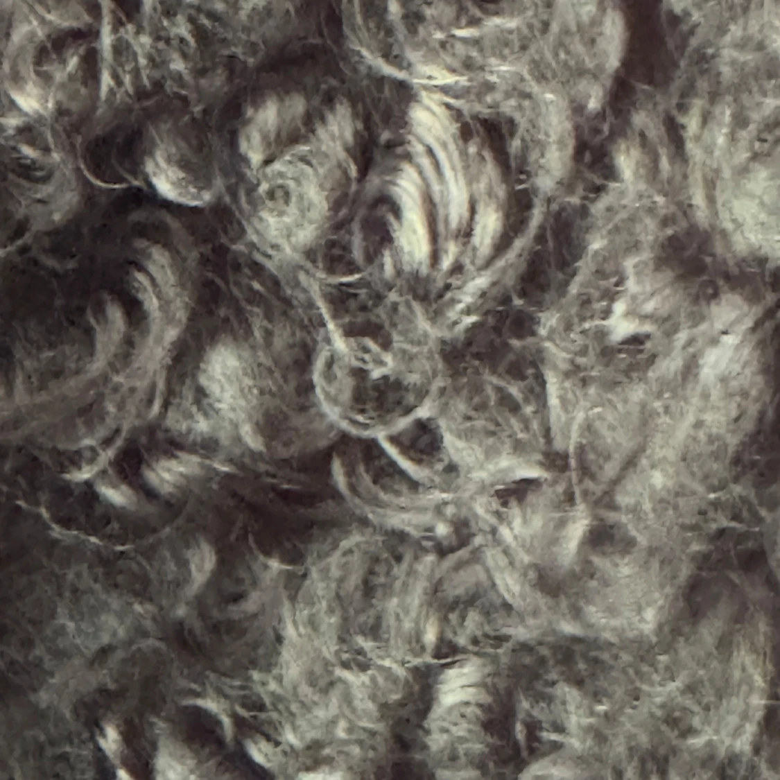 Svart teddyjacka från KappAhl - 2