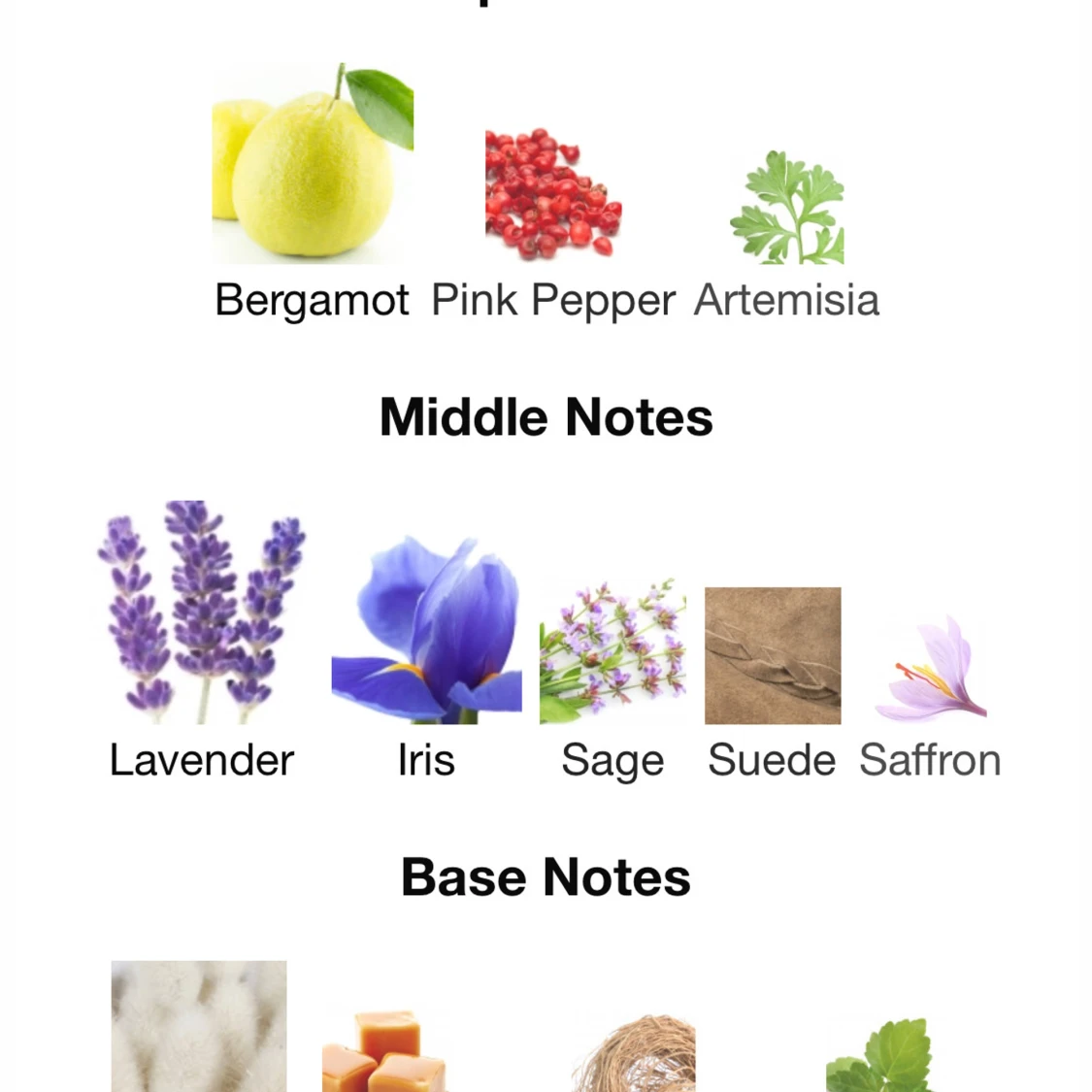 Prada blue ocean Luna Rosa  - 3