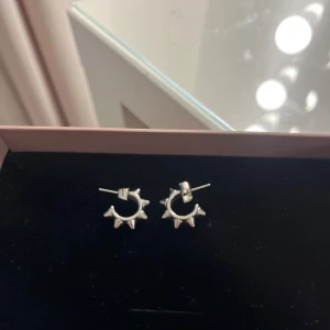 Edblad örhängen💕 - Säljer eftersom att jag inte längre använder dom! Bra skick och inte använda mycket❤️De är den lite mindre modellen, alltså inte med de stora piggarna. Ordinarie pris: 349kr