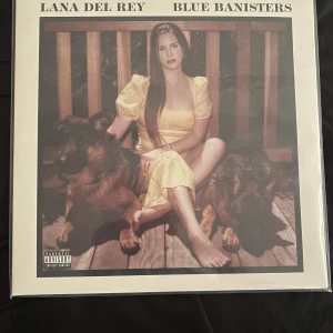 Lana Del Rey - Blue Banisters LP - Jag behöver pengar till bärs 