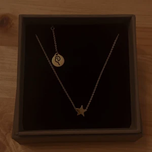 Guldigt halsband med stjärnhänge - Snyggt och stilrent armband från Edblad i guldton.