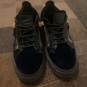 Svarta sneakers med dragkedja och snörning - Säljer ett par svarta sneakers med både snörning och guldiga dragkedjor på sidorna. Skorna har en platt sula och är tillverkade i en kombination av mocka och syntetmaterial. Perfekta för dig som gillar en stilren men ändå unik look.