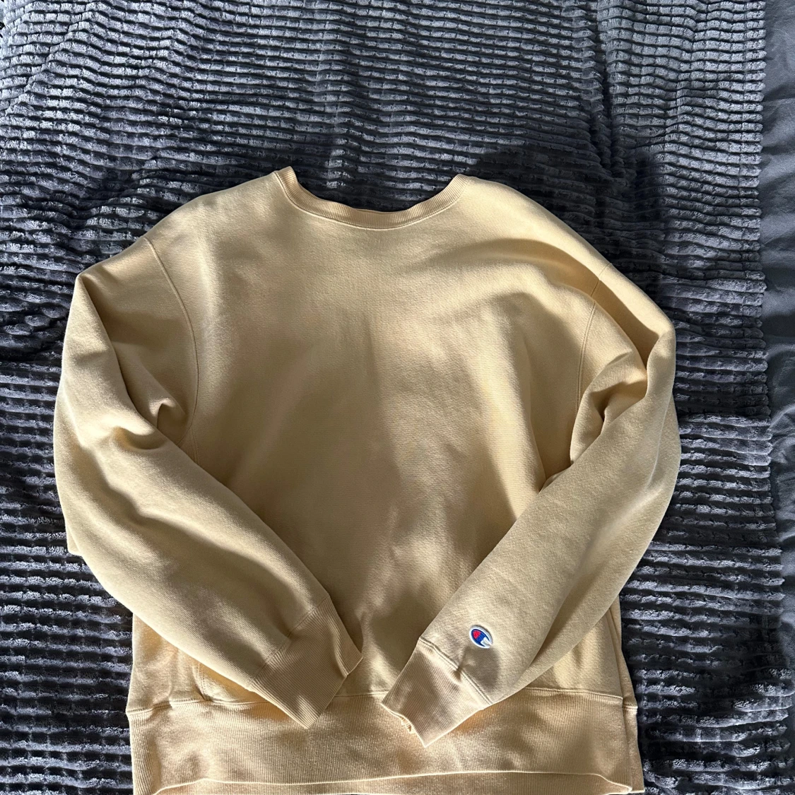 Vintage Champion Sweatshirt