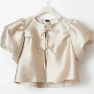 Satin topp - Säljer denna satin topp men puffiga ärmar. Köptes för cirka ett halv år sedan och har aldrig kommit till användning sedan dess. Den är använd 3 ggr ungefär. Dm för fler bilder!💞💞