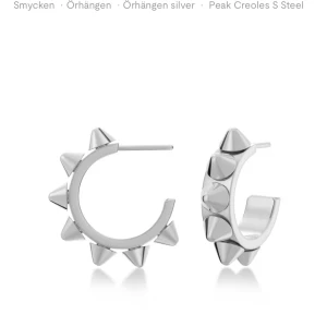 Edblad örhängen - Snygga örhängen i silver med en cool design av spetsiga nitar runt hela ringen. Kommer inte till användning längre tyvärr🥰