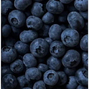 Arkivfoto  - Går ej att köpa