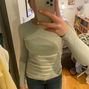 Ljusgrön ribbad långärmad  från Gina Tricot❤️ - Säljer en ljusgrön ribbad långärmad topp från Gina Tricot, basically basics-kollektionen. ❤️Tröjan har rund halsringning och sitter tajt mot kroppen. Perfekt att styla med jeans eller kjol. 💓katt finns i hemmet!