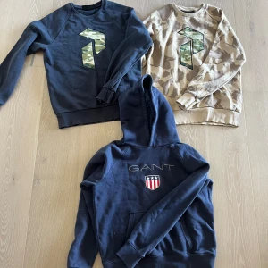 3 Tröjor från Peak Performance & GANT  - 2 sweatshirts från Peak Performance, storlek S i båda. GANT hoodie i storlek 170. 300 kr för alla 3 tröjor. 