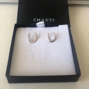 Örhängen - Säljer ett par silvriga hästsko-örhängen. Oäkta silver. Köptes för väldigt länge sedan, kommer inte ihåg var. Endast testade men aldrig använda.