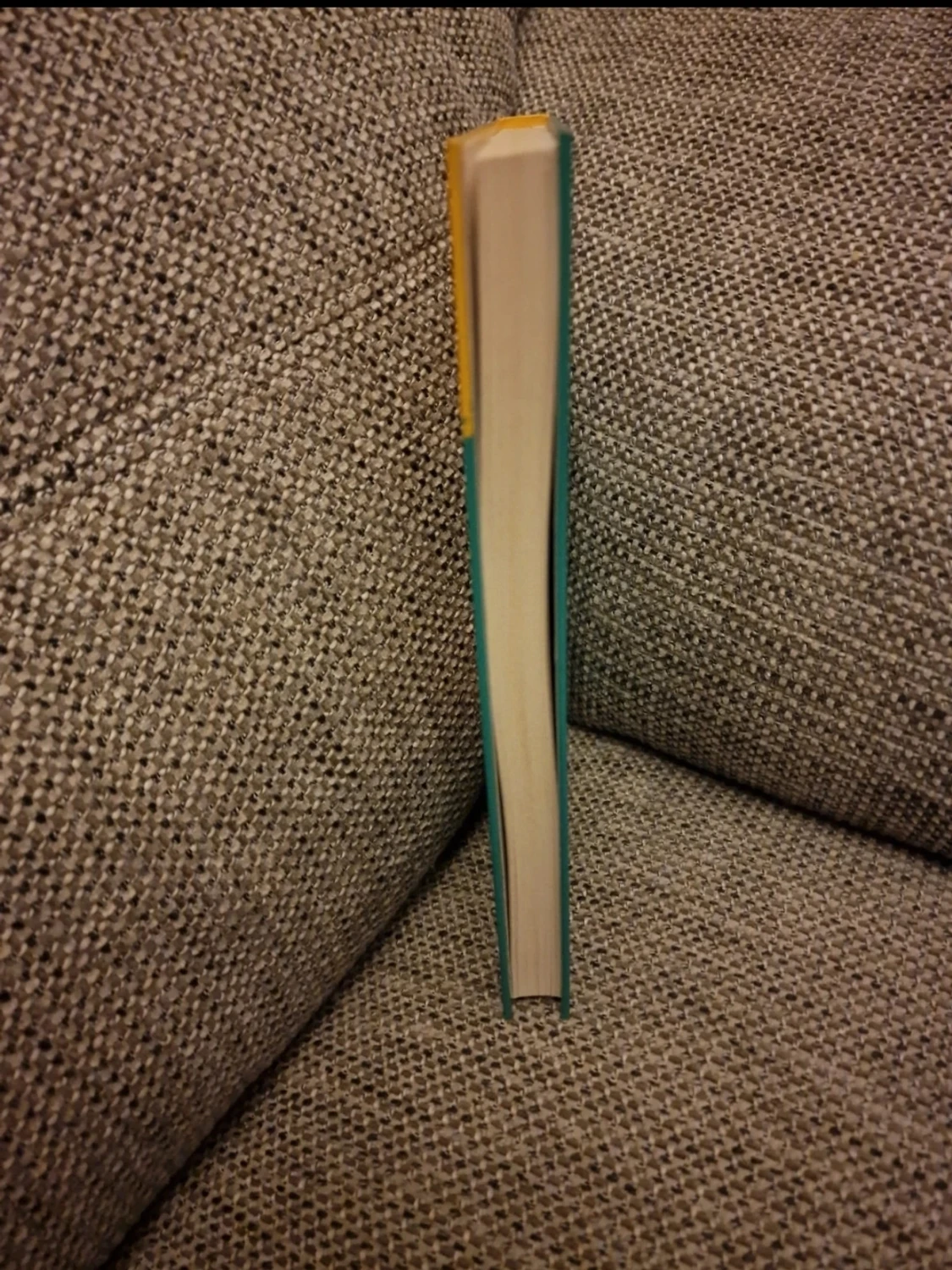 Tvillingarna från sweet valley - Jessica, Elisabeth och kärleken - 3