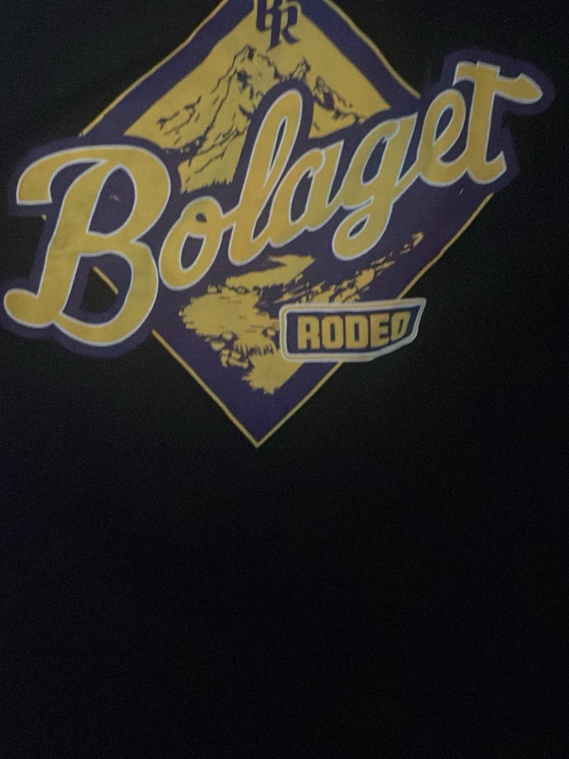 Svart Bolaget Rodeo t-shirt - 3