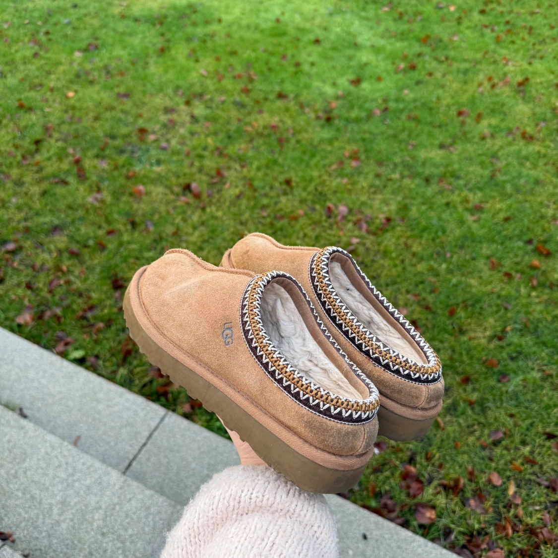Tasman UGG Chestnut - 1