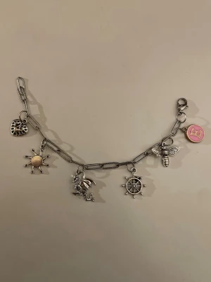 Silverfärgat charmarmband med hängen - Unikt silverfärgat armband med 5 snygga berlocker. Kedjan är i rostfritt stål.                                         Tveka inte fråga om du har flera frågor 🌸💕