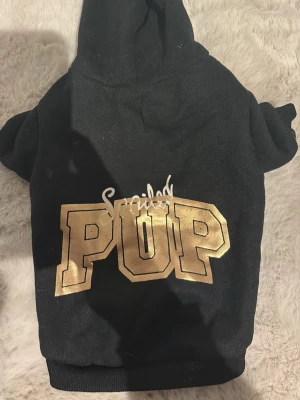 Svart hoodie för en liten hund.  - Svart hoodie för din lilla vovve med två hål för de främre ärmarna med mjukt material. En text på ryggen där det står ”spoiled pup”. 