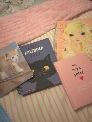 Kattkalender 2024 - En supergullig kalender för 2024 med charmiga kattmotiv! Perfekt för dig som älskar katter och vill hålla koll på viktiga datum på ett roligt sätt. Alla booker e nya och alla för 100 