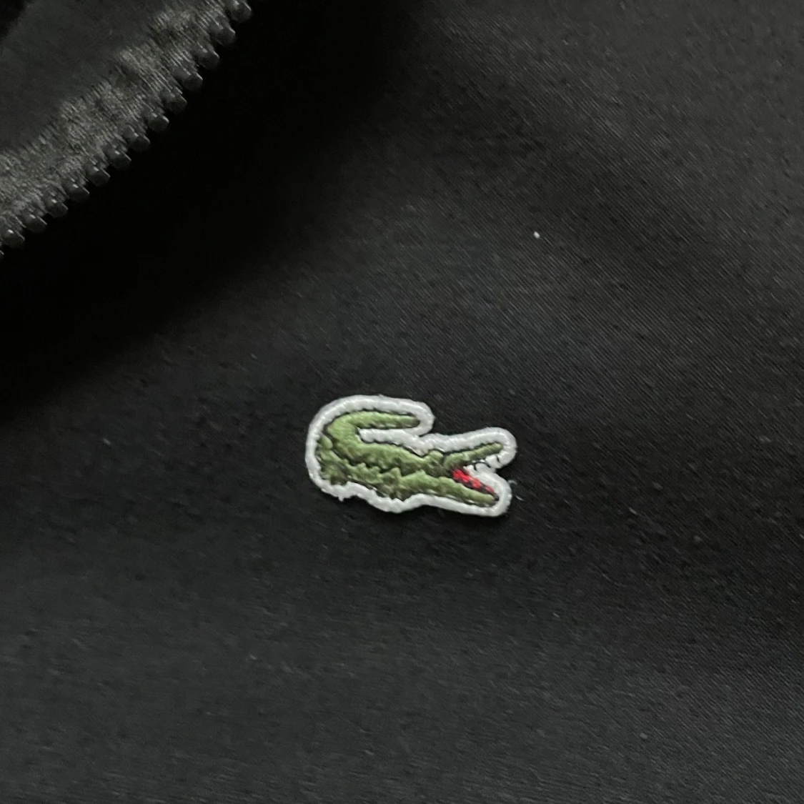 Lacoste zip  - 1