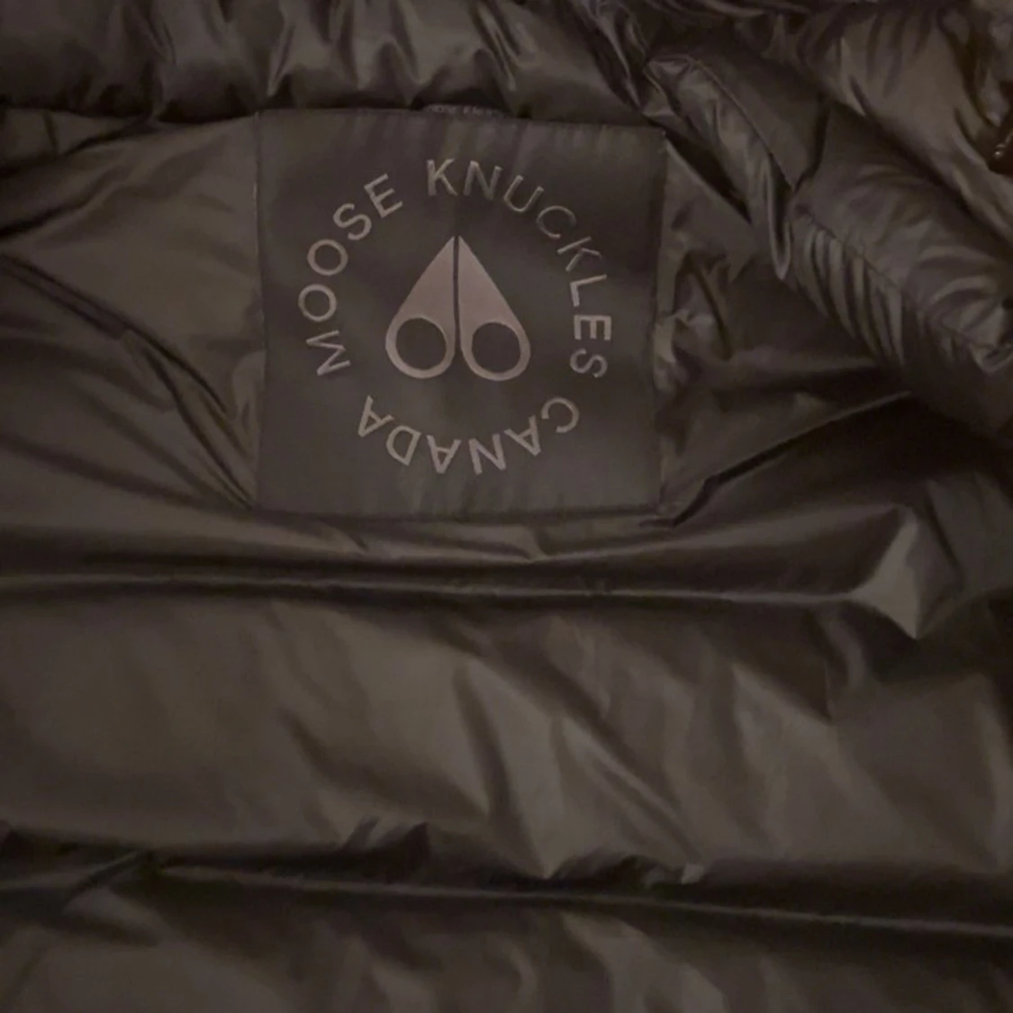 Svart dunväst från Moose Knuckles - 2