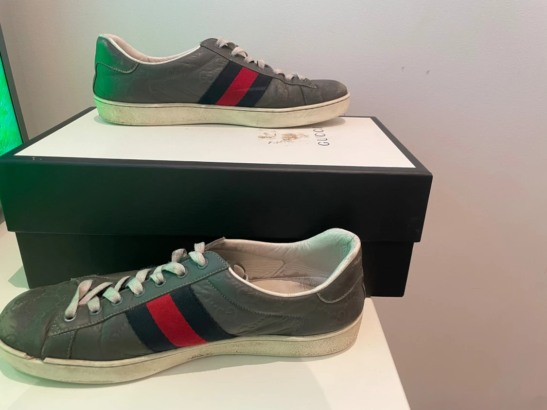 gucci ace - 1