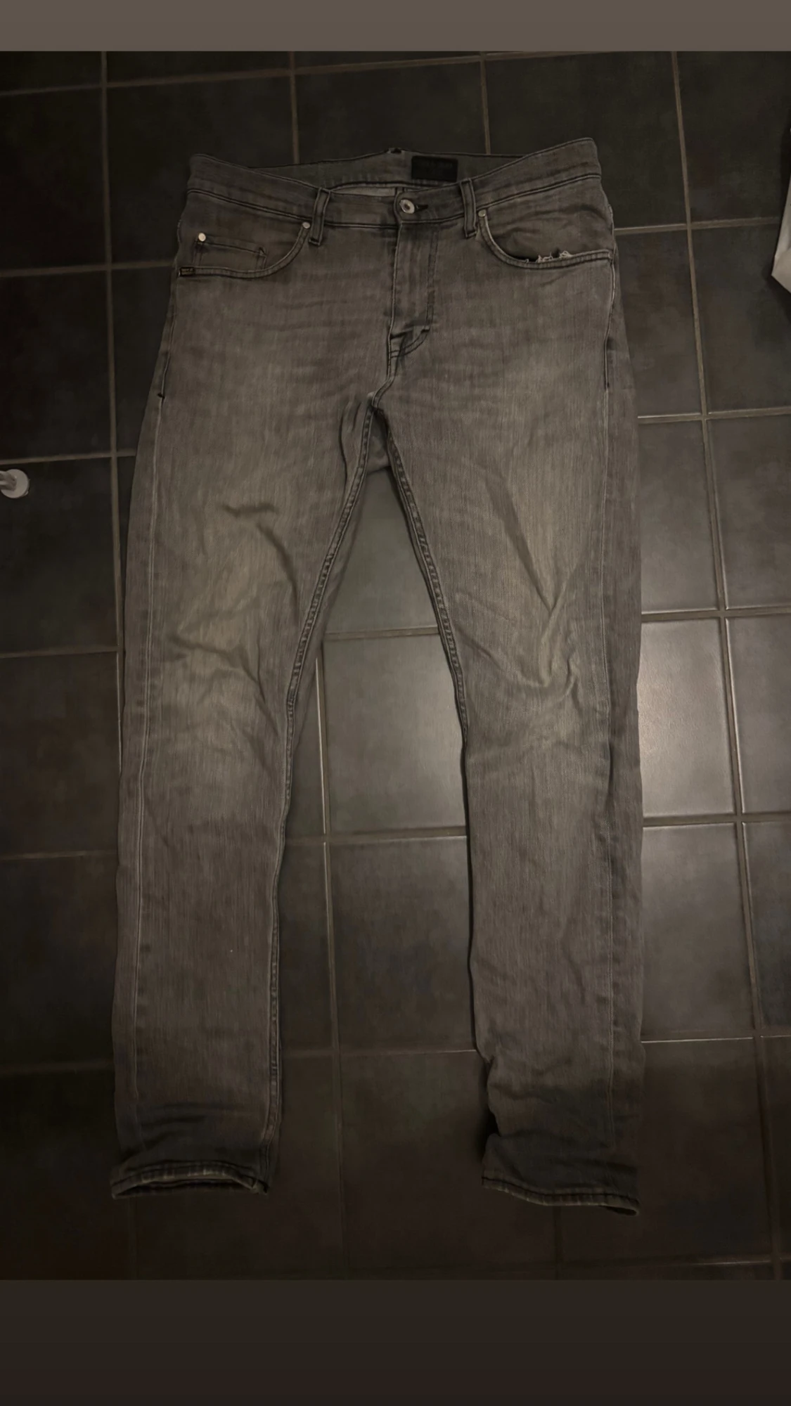 Gråa tiger of sweden