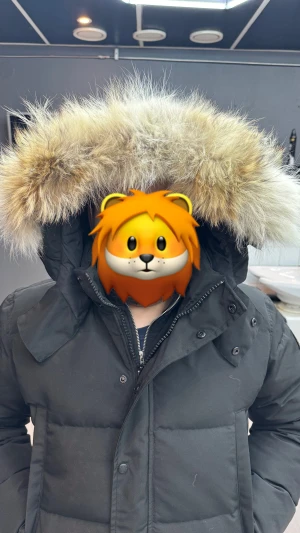 Svart dunjacka med päls från Canada Goose - Säljer en svart dunjacka från Canada Goose med stor fluffig päls på huvan. Jackan har dragkedja och knappar framtill, samt logotyp på ärmen. Flera fickor och riktigt schysst passform som är normal. Perfekt för kalla vinterdagar.