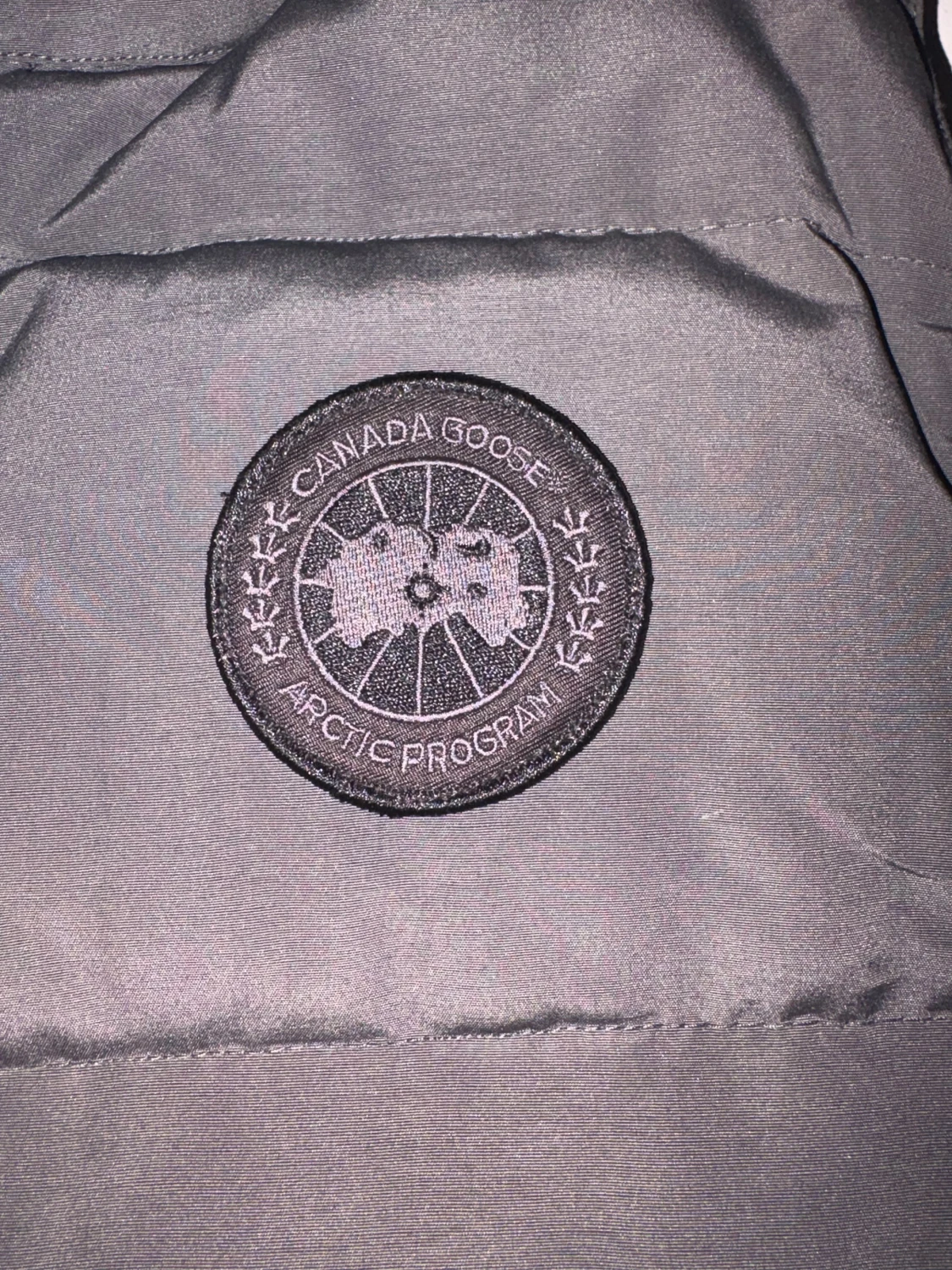 Grå Goose väst - 2
