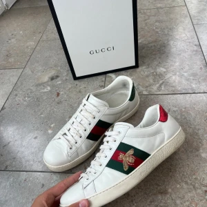Gucci Ace - Gucci Ace sneakers i vitt skinn med klassiska gröna och röda ränder på sidorna och broderad guldfärgad bi. Baksidan har metallicröd och metallicgrön detalj med ormmönster och Gucci-logga. Platt sula och snörning framtill. Riktigt ikoniska och snygga sneakers. Låda, påsar och kort tillkommer. Skorna är nästan helt o använda och säljer dom för att dom är för små.