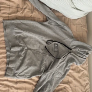 Grå Jordan PSG hoodie med huva - Snygg grå hoodie från Jordan PSG med stor PARIS-tryck på ryggen säljer för 400 priset kan diskuteras 