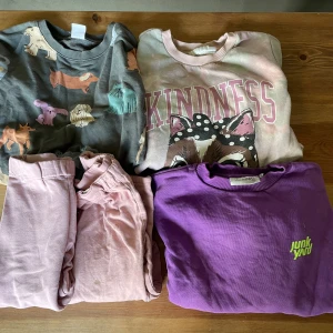 Klädpaket med sweatshirts och byxor 110-116 - Klädpaket med sweatshirts och tights i storlek 110-116, säljes ej styckvis
