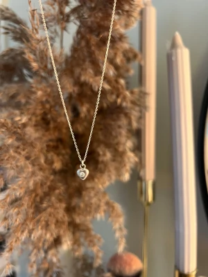 Halsband - Halsband i silver från guldfynd 