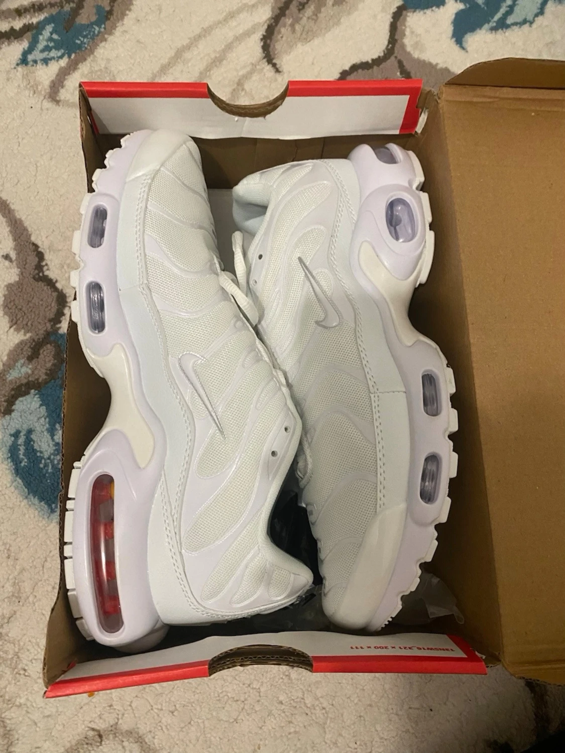 Nike Air Max Plus vita sneakers