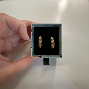 Guldiga örhängen med nitar - Säljer de populära örhängena från Edblad i guld 